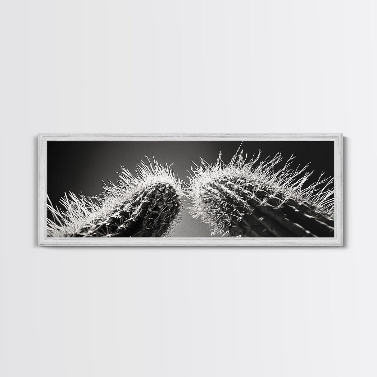 Desert Cactus, southwest wall art, moody art, Joshua tree art, extra wide wall art, nature photography, framed canvas print