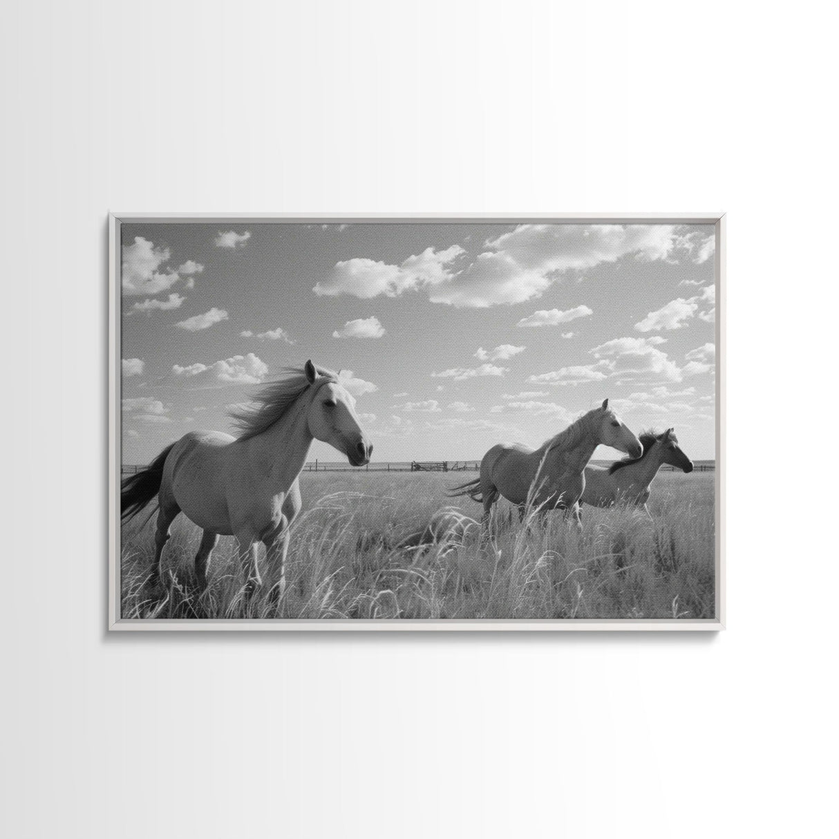 Fine Art Framed Canvas Print, Metal Art, Black & White Photo of Wild Mustangs, Horse Art, American Horses Landscape / Nature / Wildlife Art