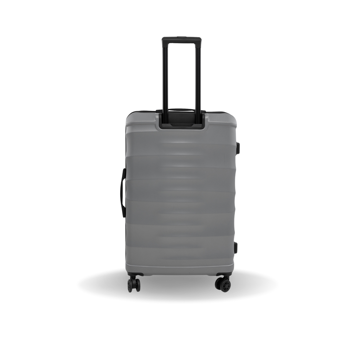 RAV Large 28"