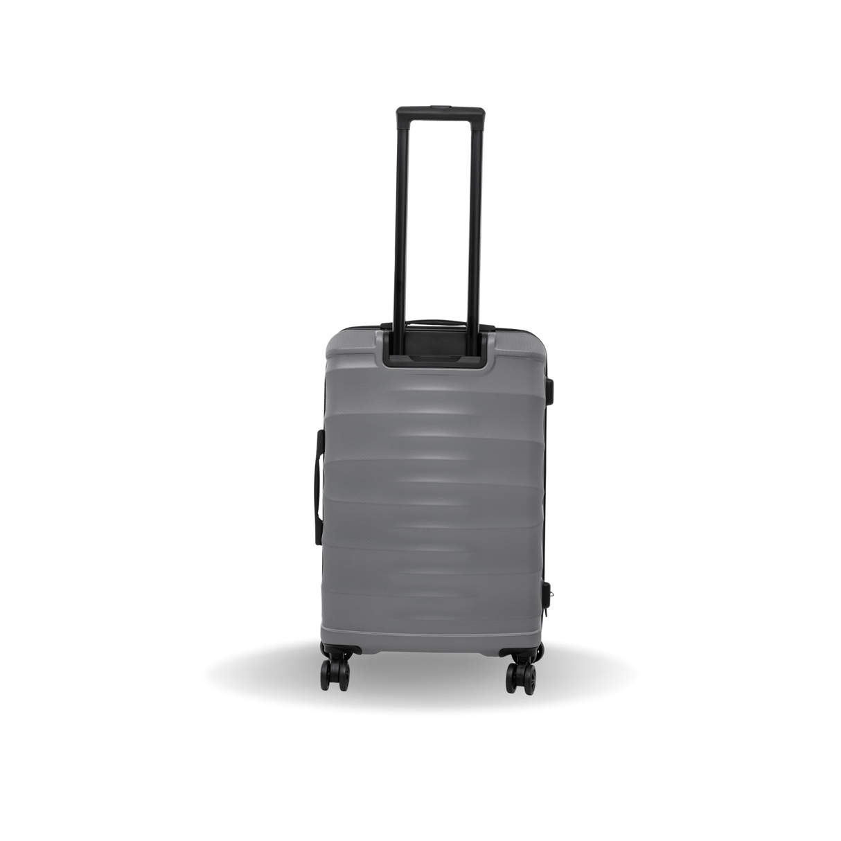 RAV Medium 24"