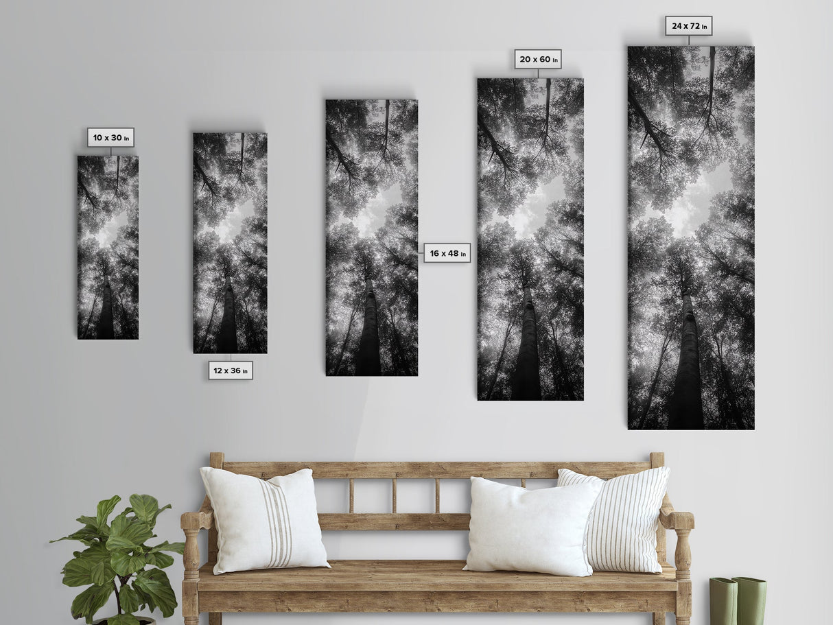 Forest Canopy, Nature Perspective, Tranquil Trees, Black and White, Framed Canvas Print, Cabin Wall Art, Scandinavian Decor, Minimalist Style