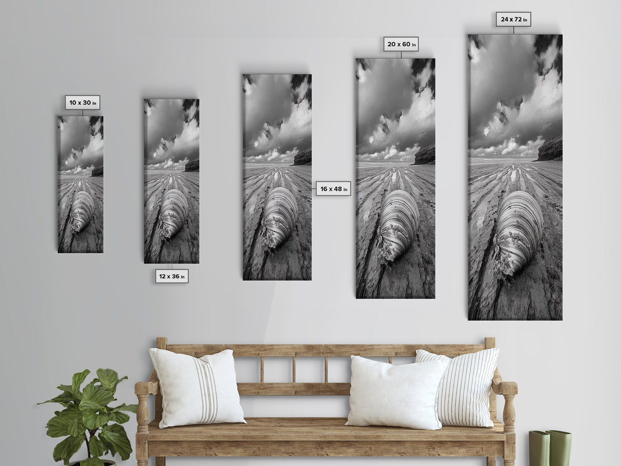 Ocean Clam, Moody Beach, Tidal Lines, Coastal Detail, Canvas Print, Nautical Bathroom Wall Art, Black and White Ocean Decor, Den Wall Piece
