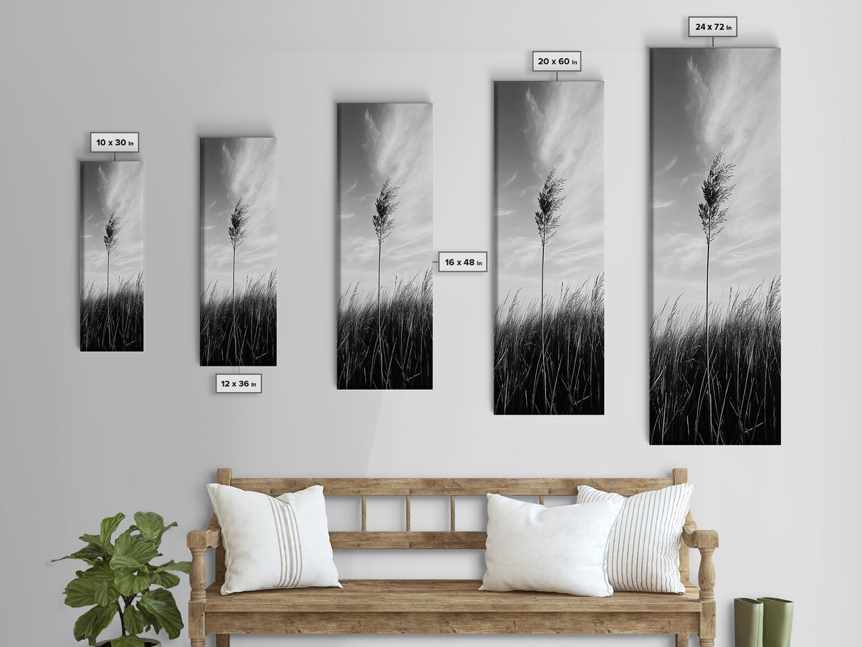 Solitary Grass Print, Minimalist Field Art, Tall Grass Photography, Rustic Bedroom Wall Decor, Framed Canvas Print, Fall Nature Vibe