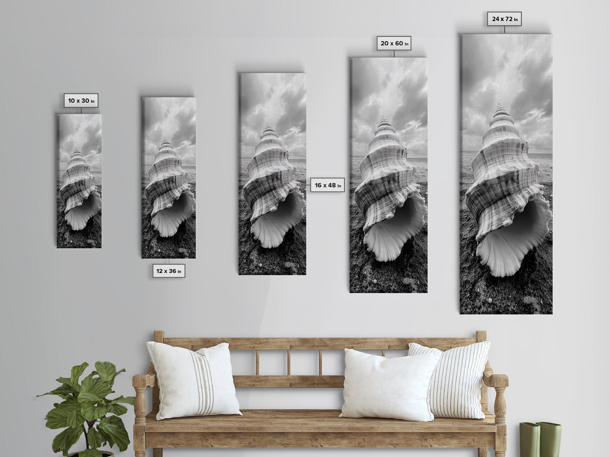 Shell Closeup, Ocean Texture, Natural Spiral, Minimalist Shell, Seashell Photography Framed Canvas Print, Coastal Kitchen Wall Art