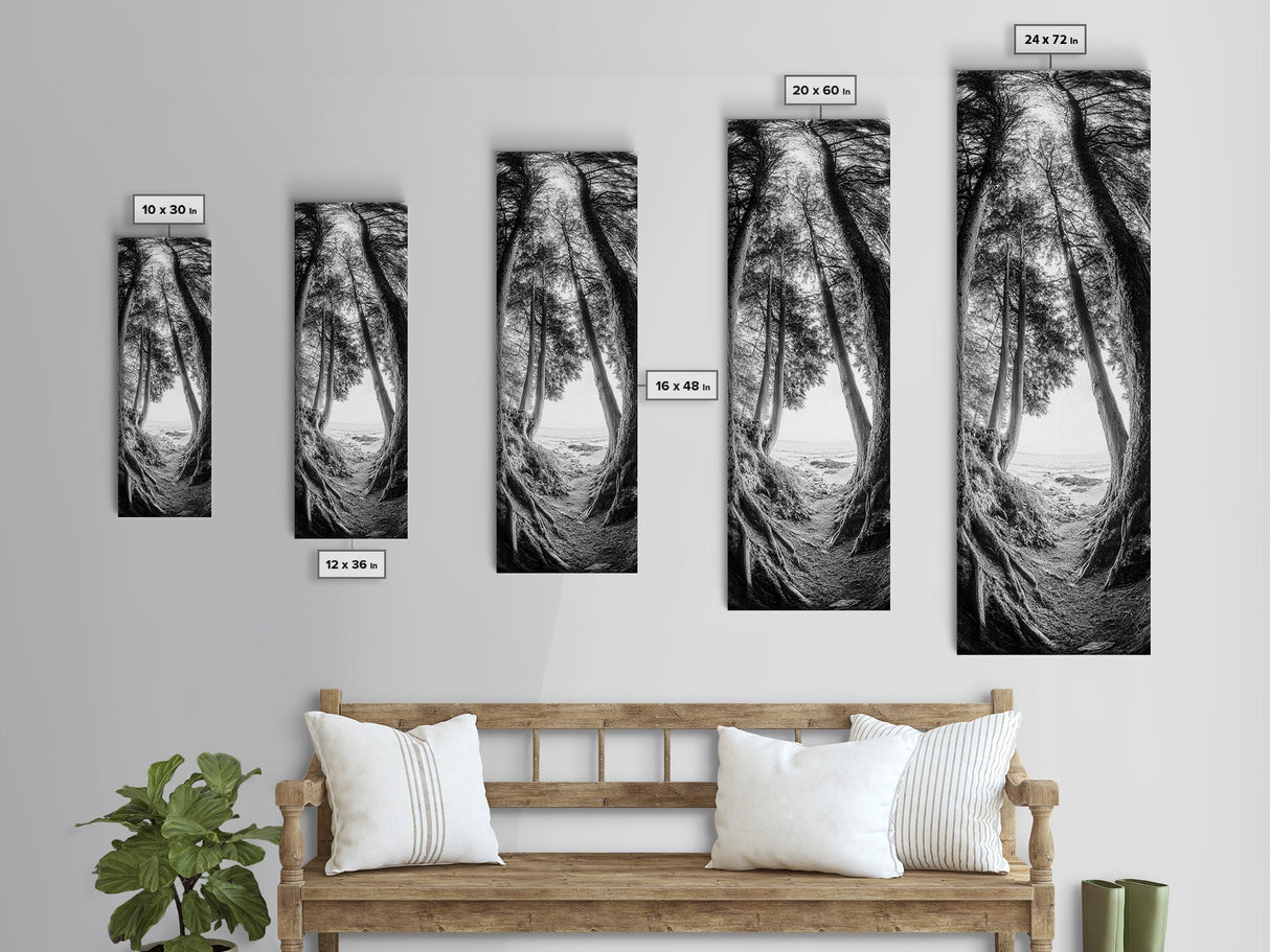 Forest Path, Ocean View, Tall Trees, Canvas Print, Black and White Nature Art, Entryway Wall Art, Rustic Woodland Aesthetic, Bedroom Wall Art