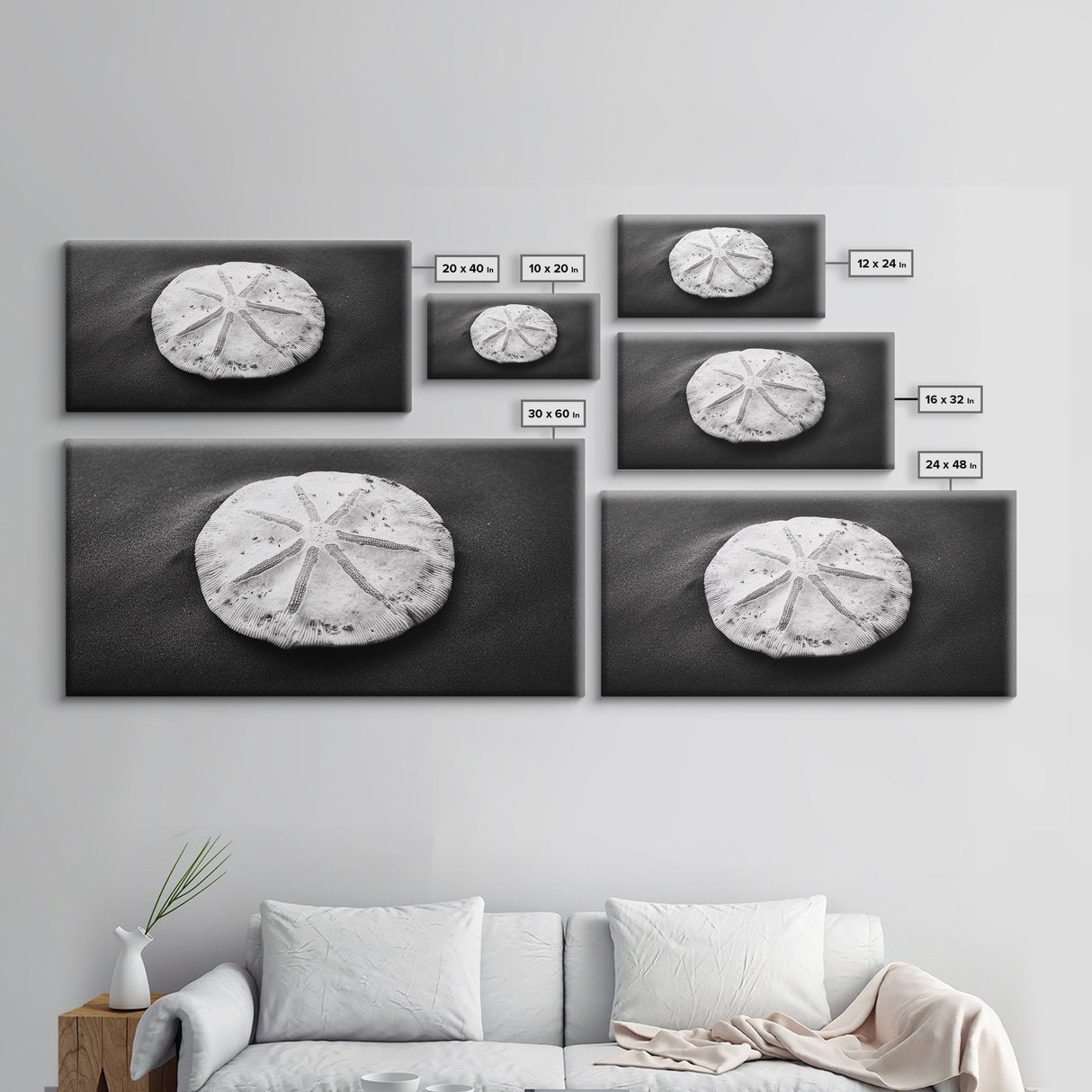 Sand Dollar, Beach Detail, Minimalist Sea, Calm Nature, Framed Canvas Print, Bathroom Wall Art, Coastal Boho Decor, Ocean Zen Style