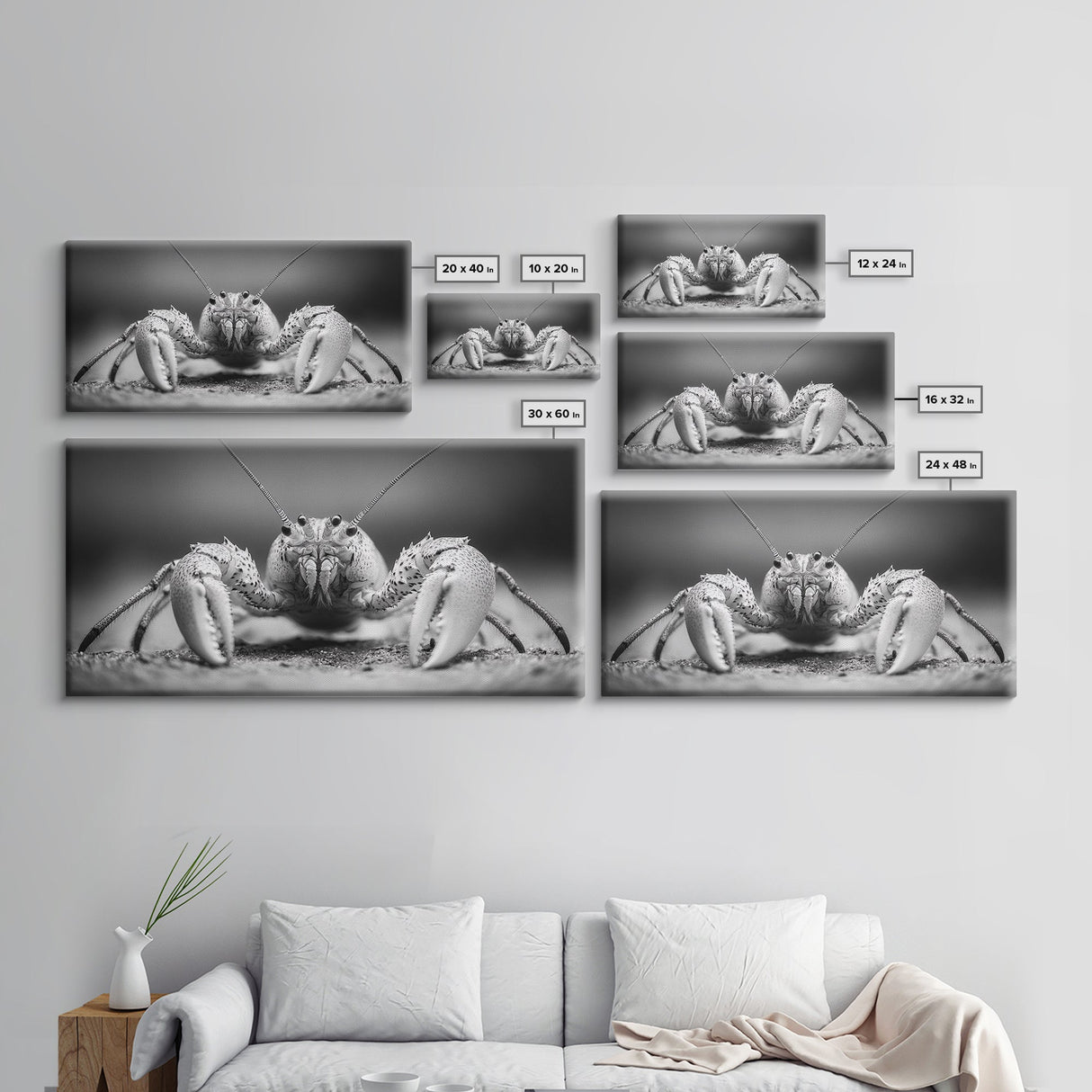 Hermit Crab, Close-Up, Ocean Creature, Monochrome Nature, Framed Canvas Print, Marine Wall Decor, Coastal Kitchen Wall Art, Entryway Accent