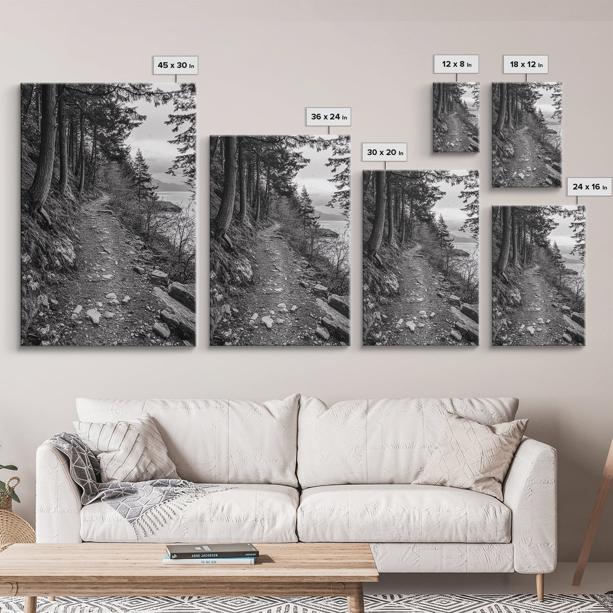 Forest Pathway Trail, Wilderness Escape, Rustic Nature, Black and White Framed Canvas Print, Cozy Cabin or Entryway Wall Art