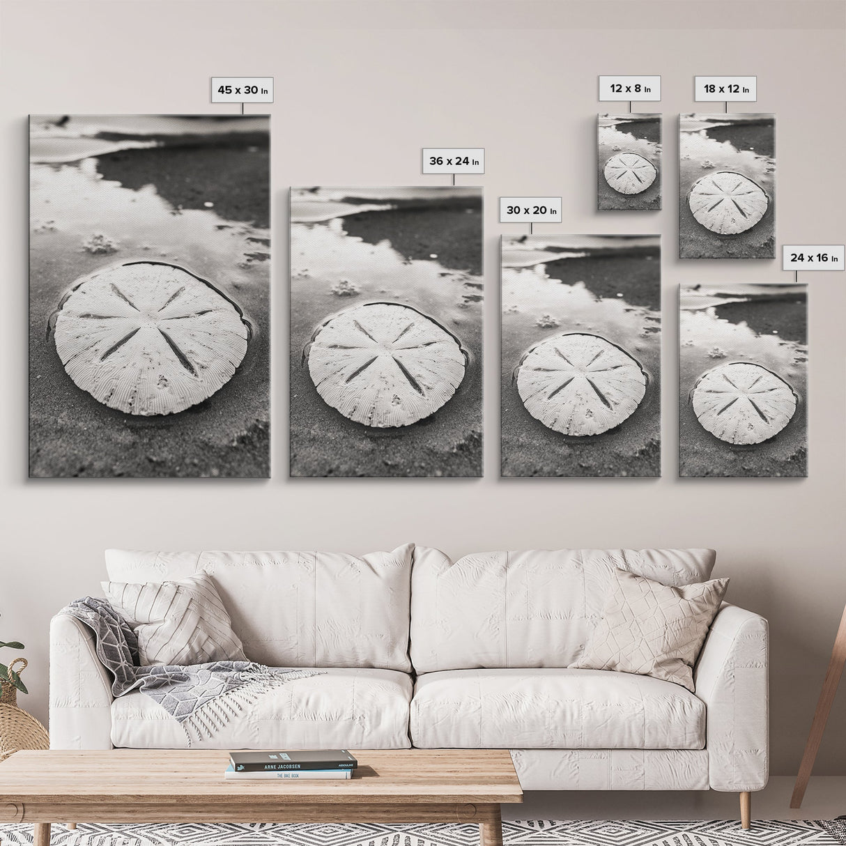 Sand Dollar, Coastal Shore, Ocean Shell Print, Canvas Print, Beachcomber Wall Art, Seaside Bathroom Decor, Nautical Nature Photography