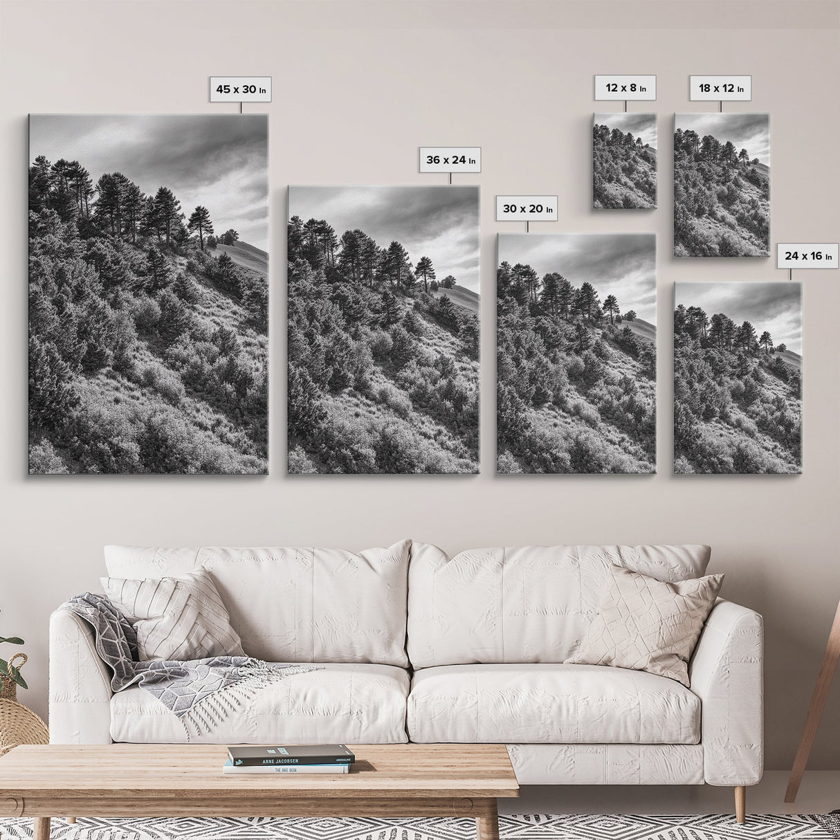 Hillside Forest, Peaceful Pines, Mountain Light, Framed Canvas Print, Nature Wall Art, Cabin Decor, Woodland Landscape Scene