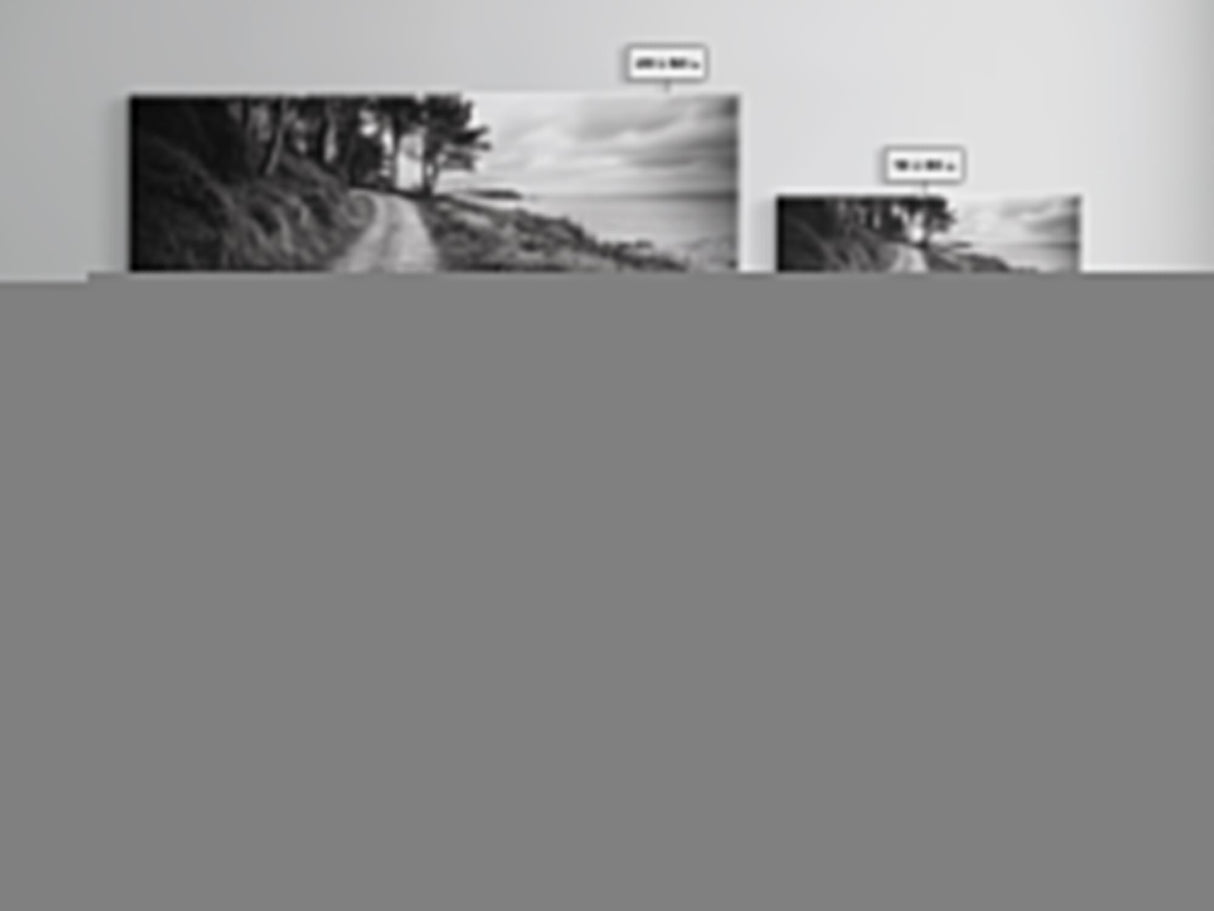 Coastal Trail, Forest Edge, Serene Path, Canvas Print, Black and White Nature Art, Entryway Wall Art, Tranquil Landscape, Moody Decor