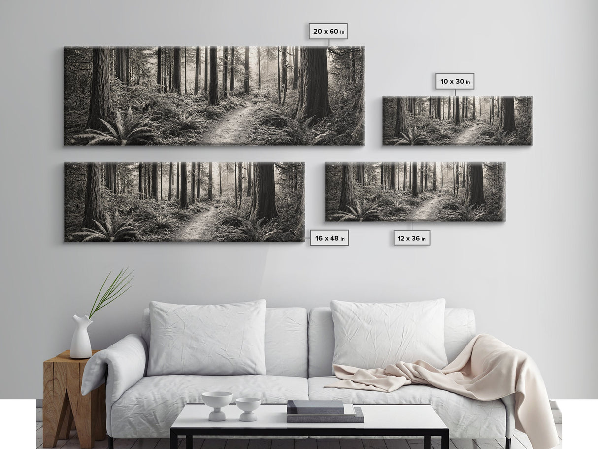 Redwood Forest, Nature Path, Fern Understory, Framed Canvas Print, Moody Nature Photography, Office Wall Art, Forest Bathing Vibes