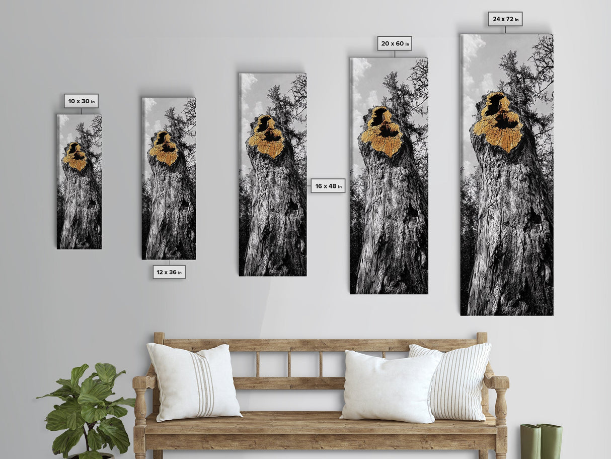 Tree Hollow, Forest Texture, Nature Decay, Golden Bark, Framed Canvas Print, Rustic Wall Art, Cabin Living Room Art, Woodland Decor