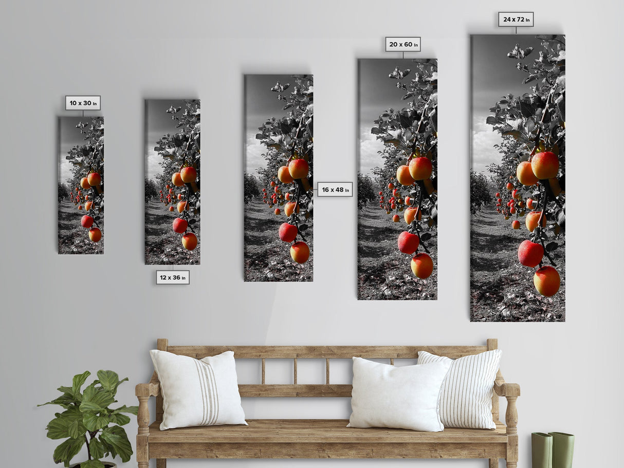 Orchard Harvest, Autumn Apples, Nature Photography, Framed Canvas Print, Kitchen Wall Art, Rustic Decor, Farmhouse Wall Accent