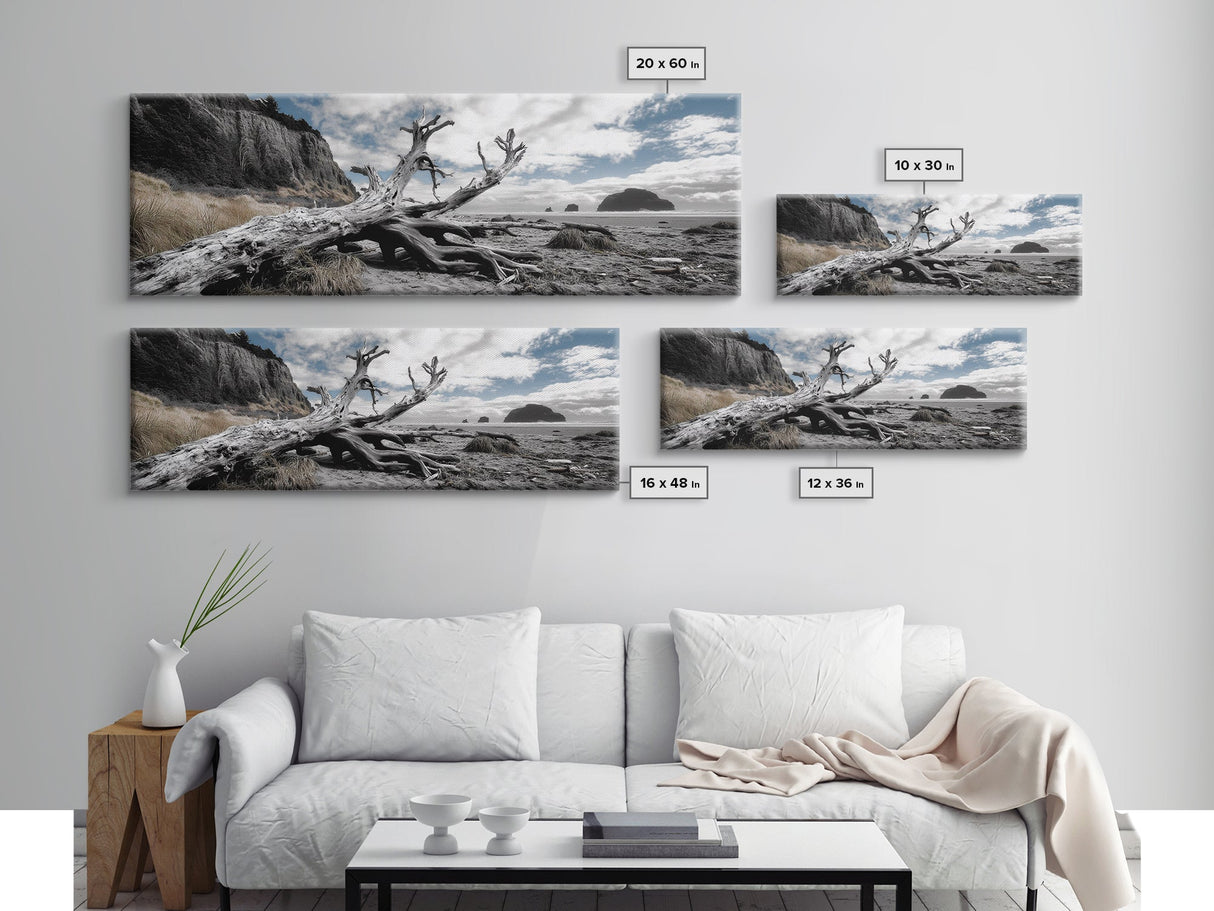 Driftwood, Coastal Tree, Beach Skeleton, Ocean Landscape, Framed Canvas Print, Coastal Decor, Neutral Tones, Office Wall Art