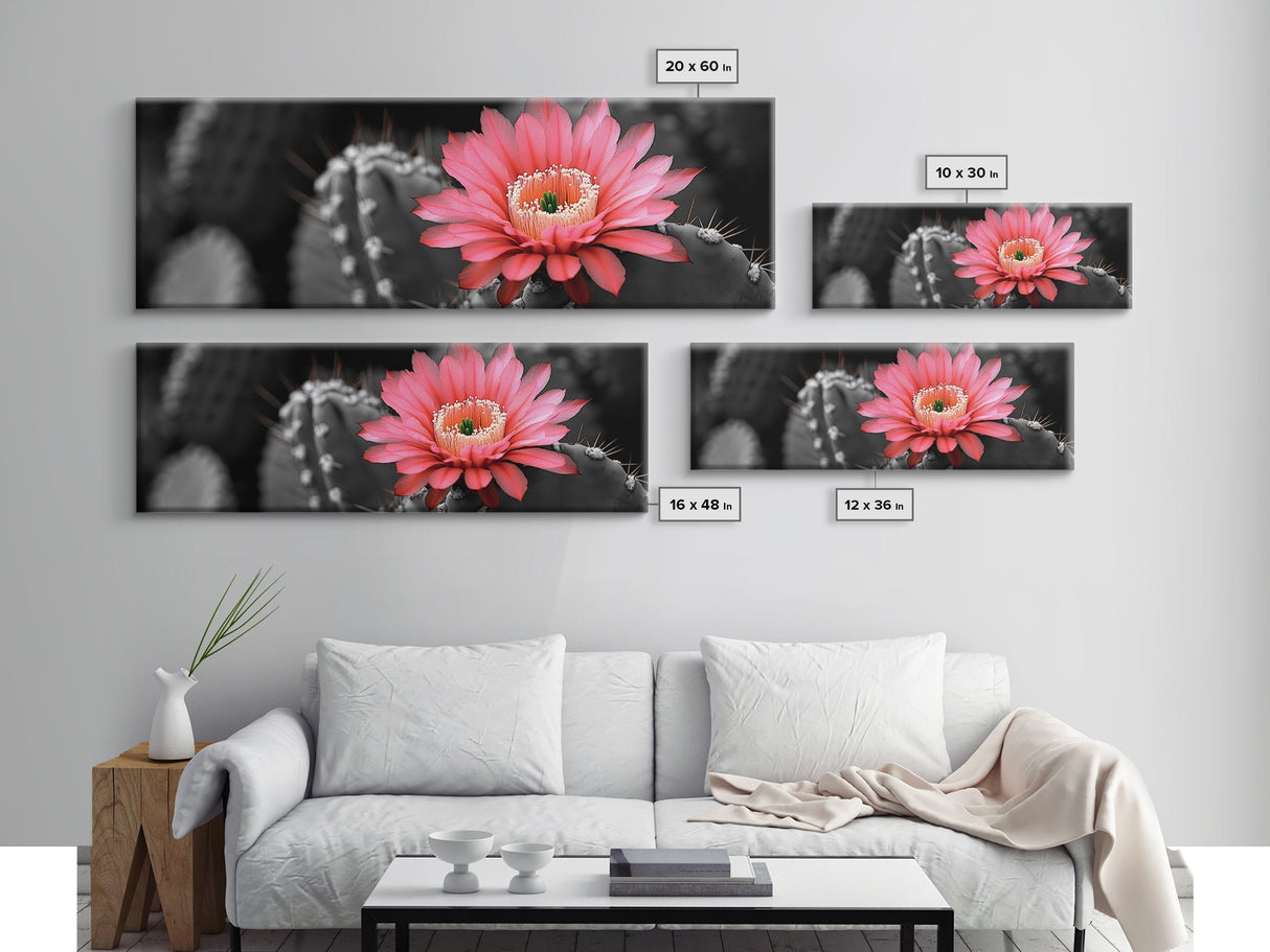 Desert Bloom, Cactus Flower, Vibrant Petals, Nature Beauty, Framed Canvas Print, Boho Wall Art, Living Room Decor, Pink Flower Photography