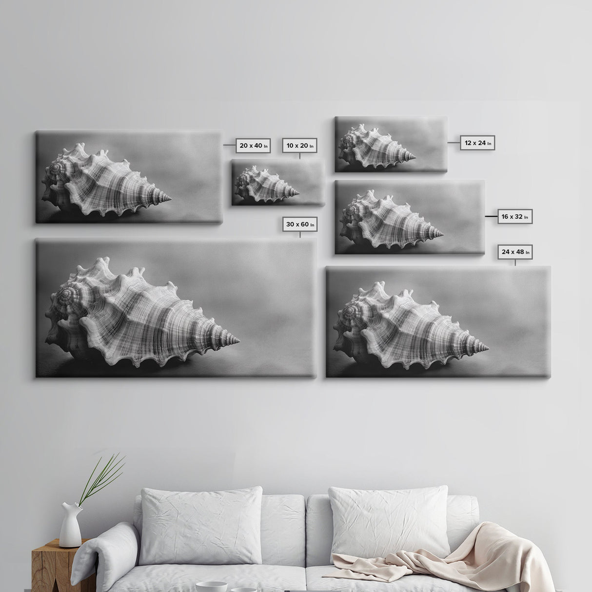 Sea Shell, Wabi Sabi Art, Coastal Decor, Minimalist Art, Nautical Wall Art, Moody Art, Extra Wide Art, Framed Canvas Print