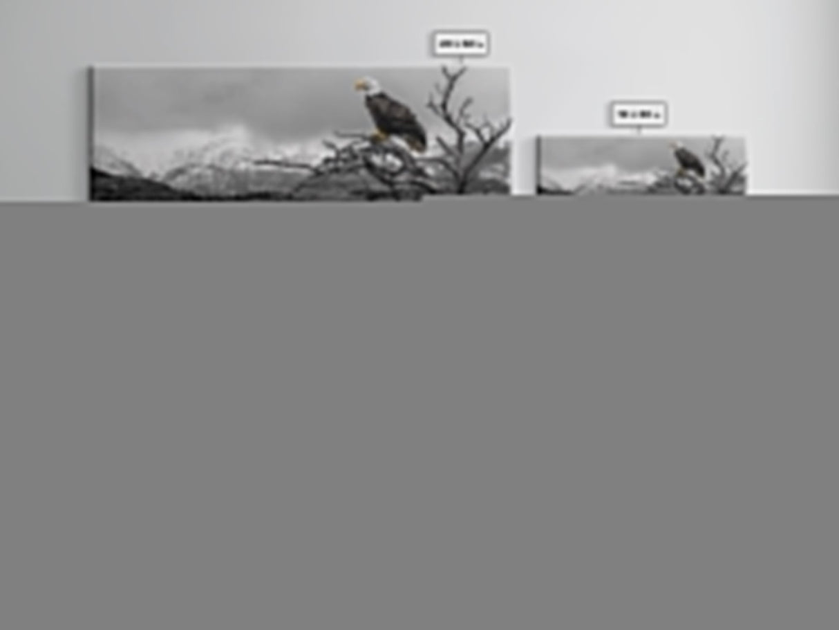 Bald Eagle, Mountain Painting, Wildlife Art, Nature Wall Art, Rustic Decor, Moody Art, Above Sofa Art, Extra Wide Art, Framed Canvas Print