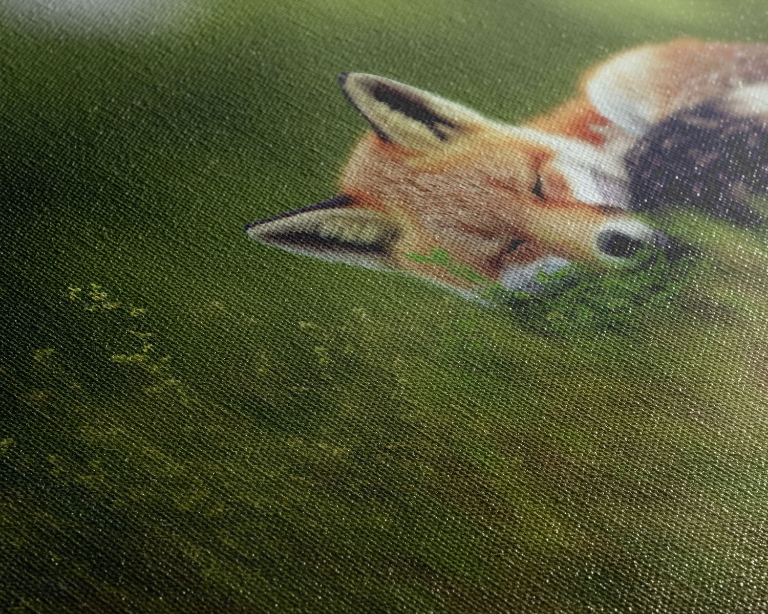 Cute Sleepy Fox Art, Animal Prints, Nature Art, Framed Canvas Print, Cute animal wall art, above sofa art