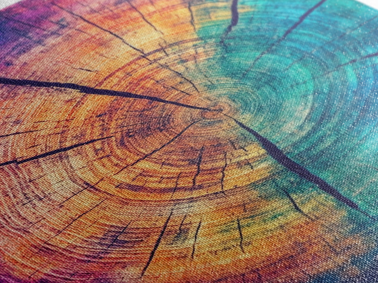 Cross Section Of Tree Rings, Rainbow Eucalyptus Print, Wood Framed Canvas Art, Colorful Abstract Modern Art, Boho Chic Cabin Decor, Eclectic Art