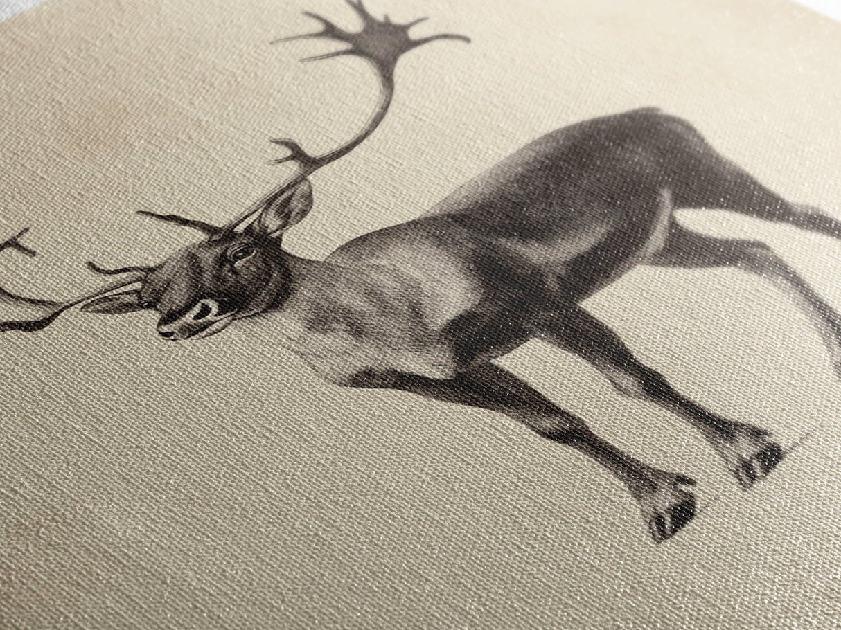 Reindeer Canvas Print - Framed Canvas - Minimalist Christmas Art - Boho Christmas Art - Rustic Christmas Art