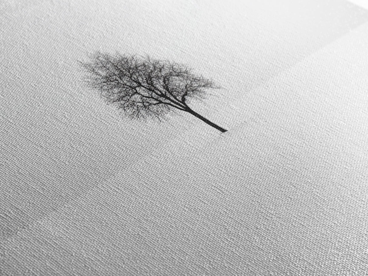 Footprints In the Snow Lead To a Lone Dead Tree - Framed Canvas Print - Ready To Hang Art - Moody Wall Art - Black and White Photography Print