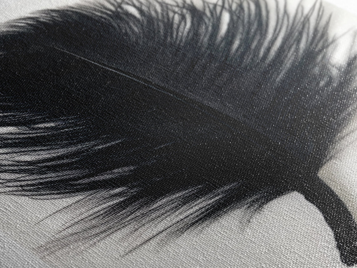 Abstract Black Feather Painting Print, Tall Skinny Art, Retro Home Decor, Abstract Art, Narrow Tall Wall Art, Feather Art, Farmhouse Art