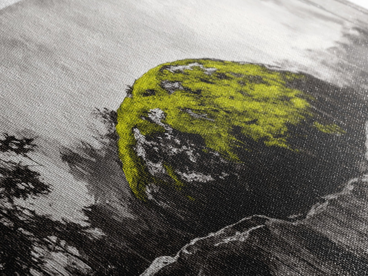 Mossy Rock, Abstract Nature, Green and Black Art, Canvas Print, Rustic Wall Decor, Boho Artwork, Modern Farmhouse Decor