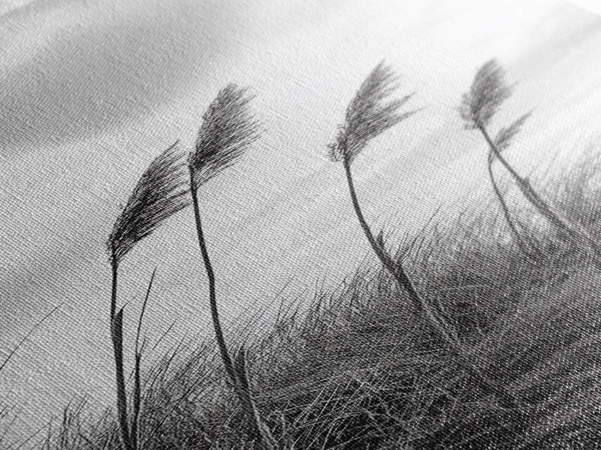 Windy Grasses, Coastal Scene, Tall Grass Field, Autumn Decor, Canvas Print, Farmhouse Style, Dining Room Wall Art, Nature Mood