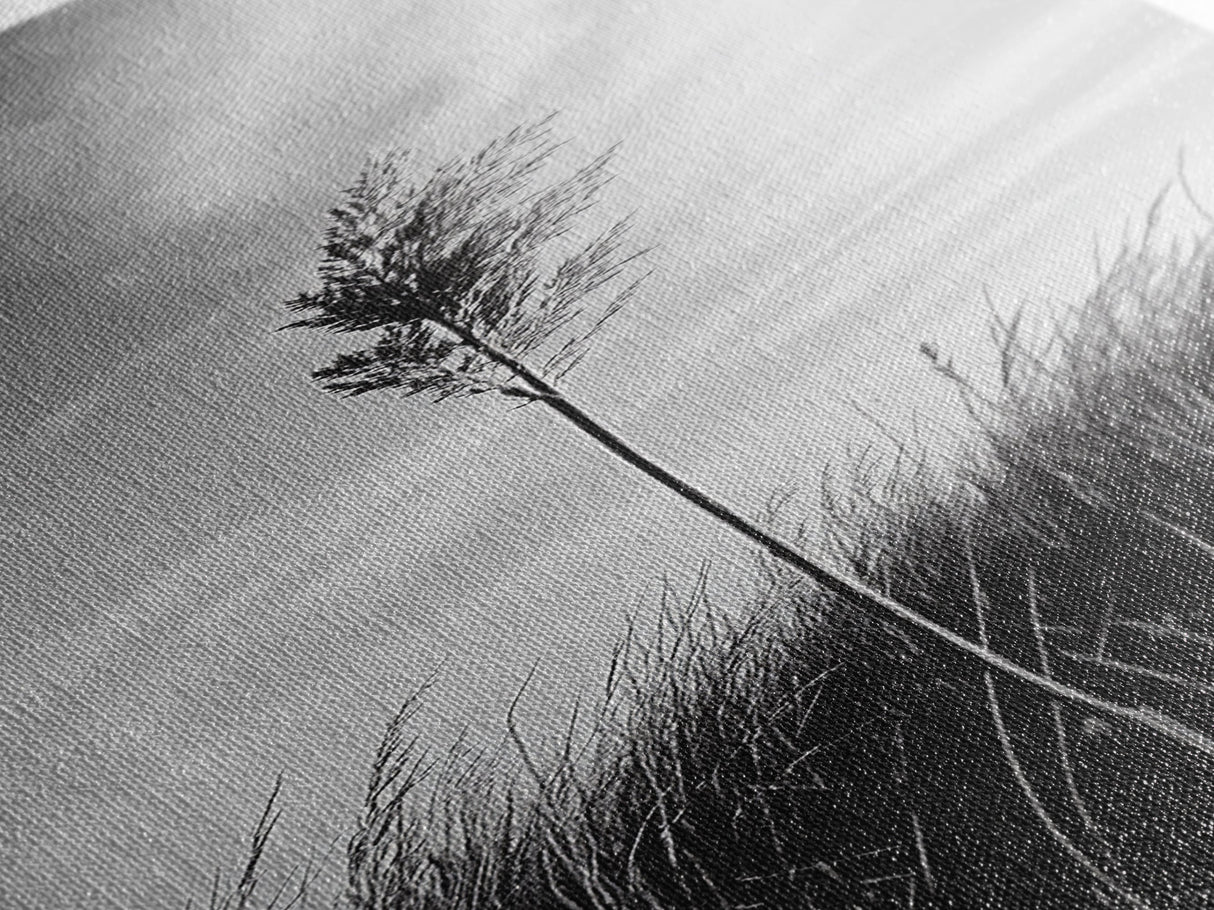 Solitary Grass Print, Minimalist Field Art, Tall Grass Photography, Rustic Bedroom Wall Decor, Framed Canvas Print, Fall Nature Vibe
