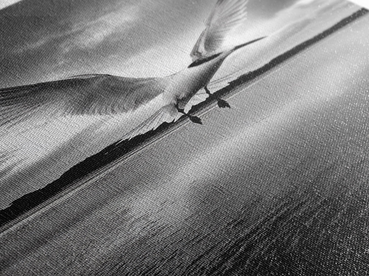 Soaring Bird, Ocean Wings, Nature Flight, Sky Spirit, Canvas Print, Coastal Wall Art, Beach House Decor, Modern Bird Photography