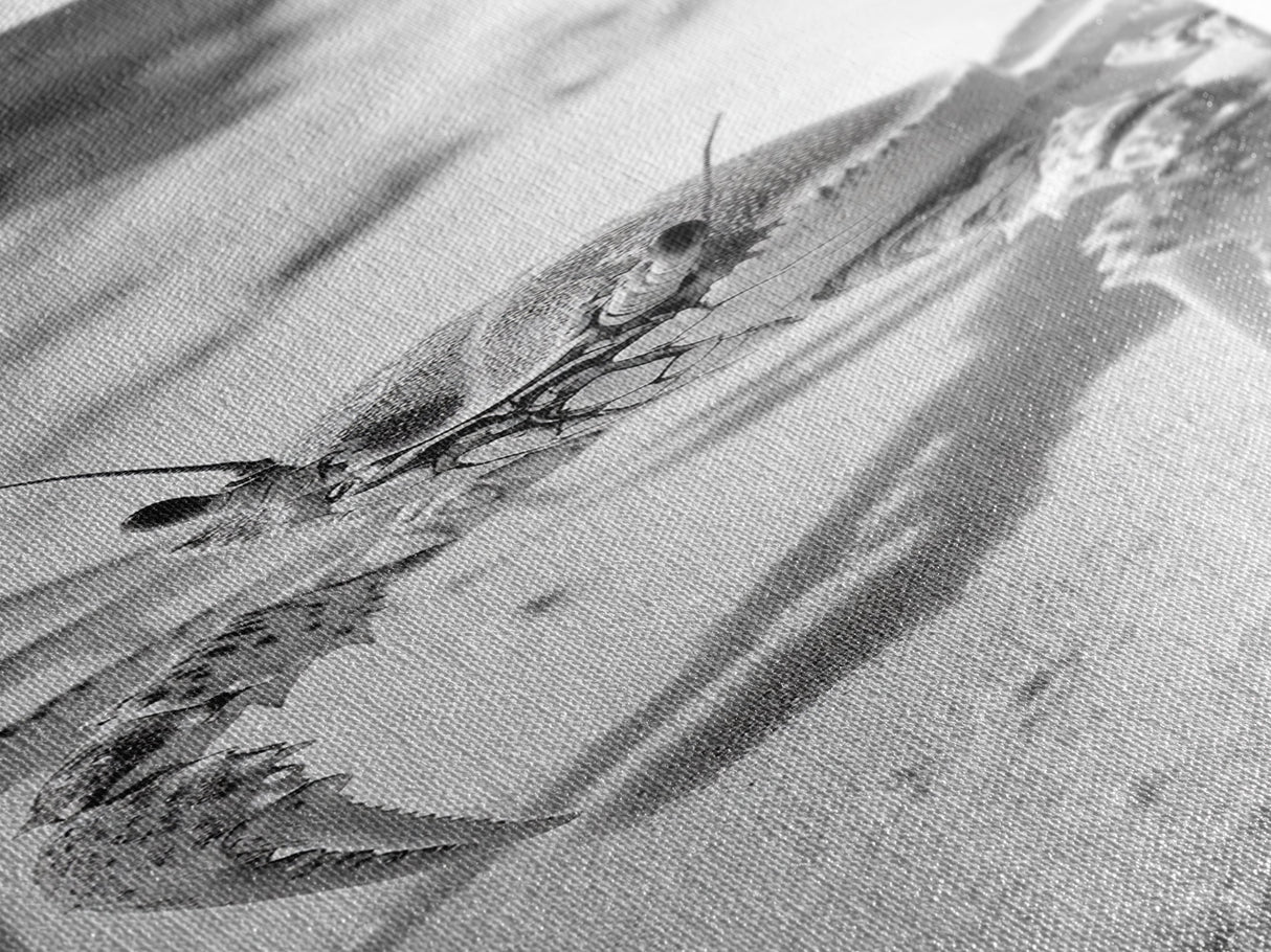 Sand Crab, Coastal Vibes, Beach Creature, Desert Aesthetic, Monochrome Wall Art, Canvas Print, Boho Bathroom Decor, Ocean Life Artwork