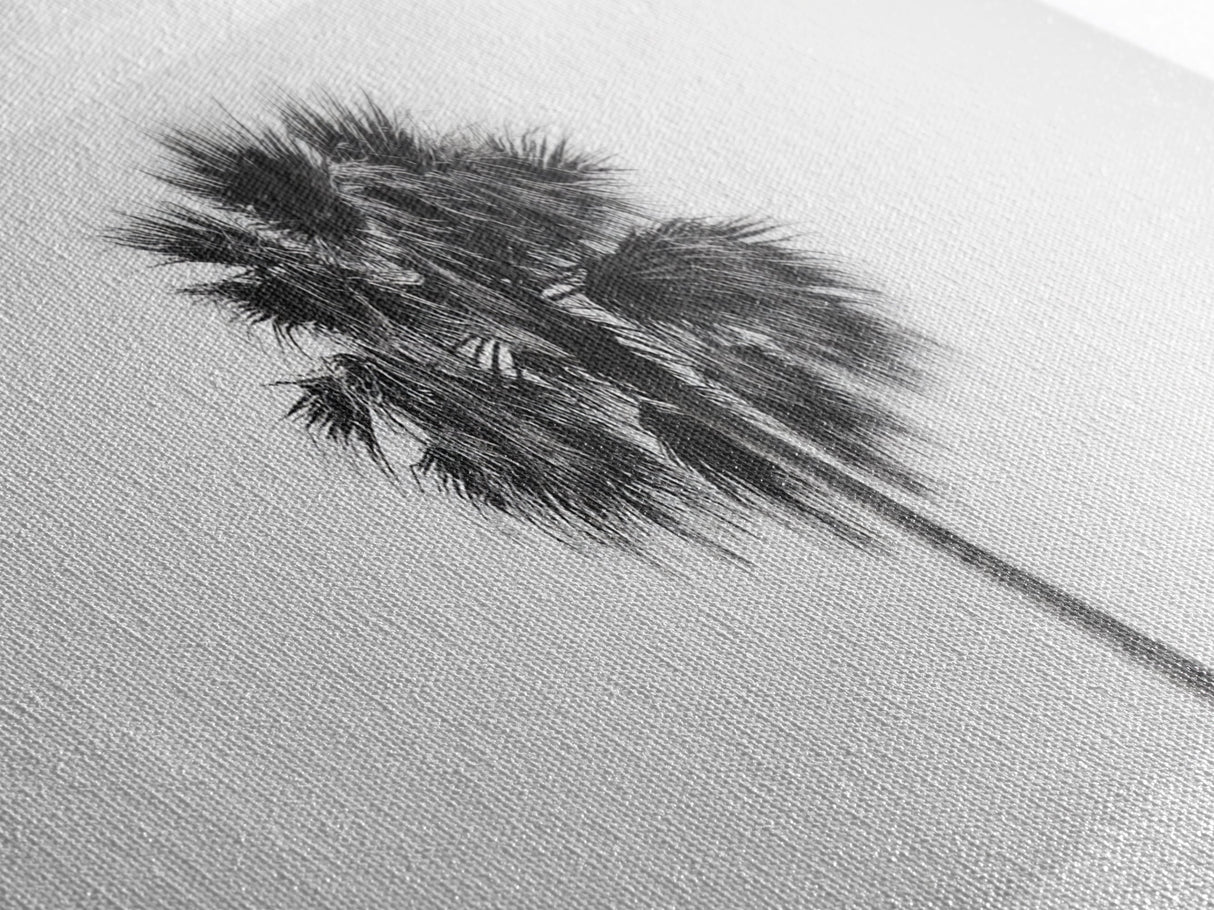 Minimal Palm Tree, Tropical Simplicity, Black and White Art, Framed Canvas Print, Modern Entryway or Minimalist Bathroom Wall Art