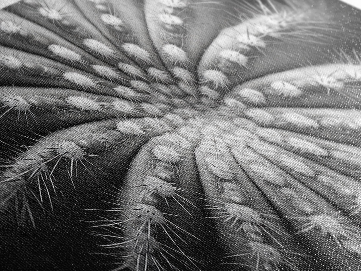 Cactus Spiral, Desert Bloom, Nature Closeup, Modern Decor, Framed Canvas Print, Minimalist Botanical Art, Office Wall Art, Succulent Texture