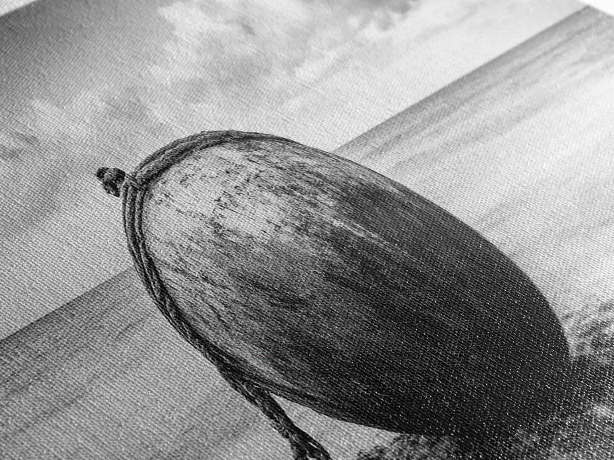 Weathered Buoy, Nautical Rope, Coastal Still Life, Beach Found Object, Framed Canvas Print, Beach House Art, Bathroom Wall Decor
