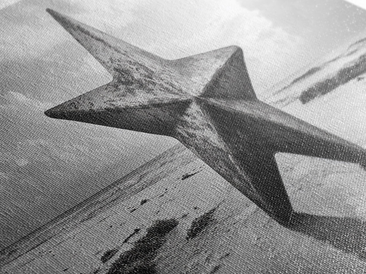 Weathered Star Sculpture, Coastal Symbol, Beach Art, Framed Canvas Print, Americana Wall Art, Entryway Decor, Rustic Beach House