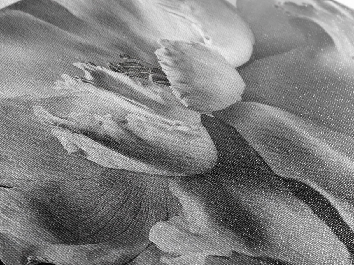 Floral Closeup, Petal Texture, Macro Bloom, Canvas Print, Botanical Bedroom Wall Art, Black And White Flower, Modern Nature Photography