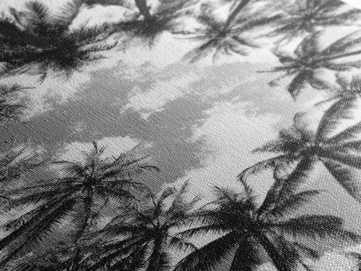 Palm Tree Sky, Tropical Canopy, Black and White Island View, Jungle Overhead Scene, Framed Canvas Print, Bathroom Wall Art, Beach Boho Decor