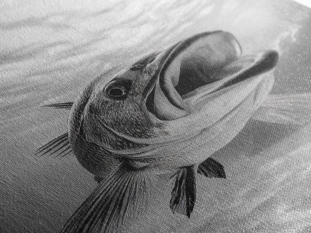 Underwater Fish, Ocean Predator, Aquatic Wildlife, Canvas Print, Bathroom Wall Art, Coastal Nautical Decor, Marine Photography