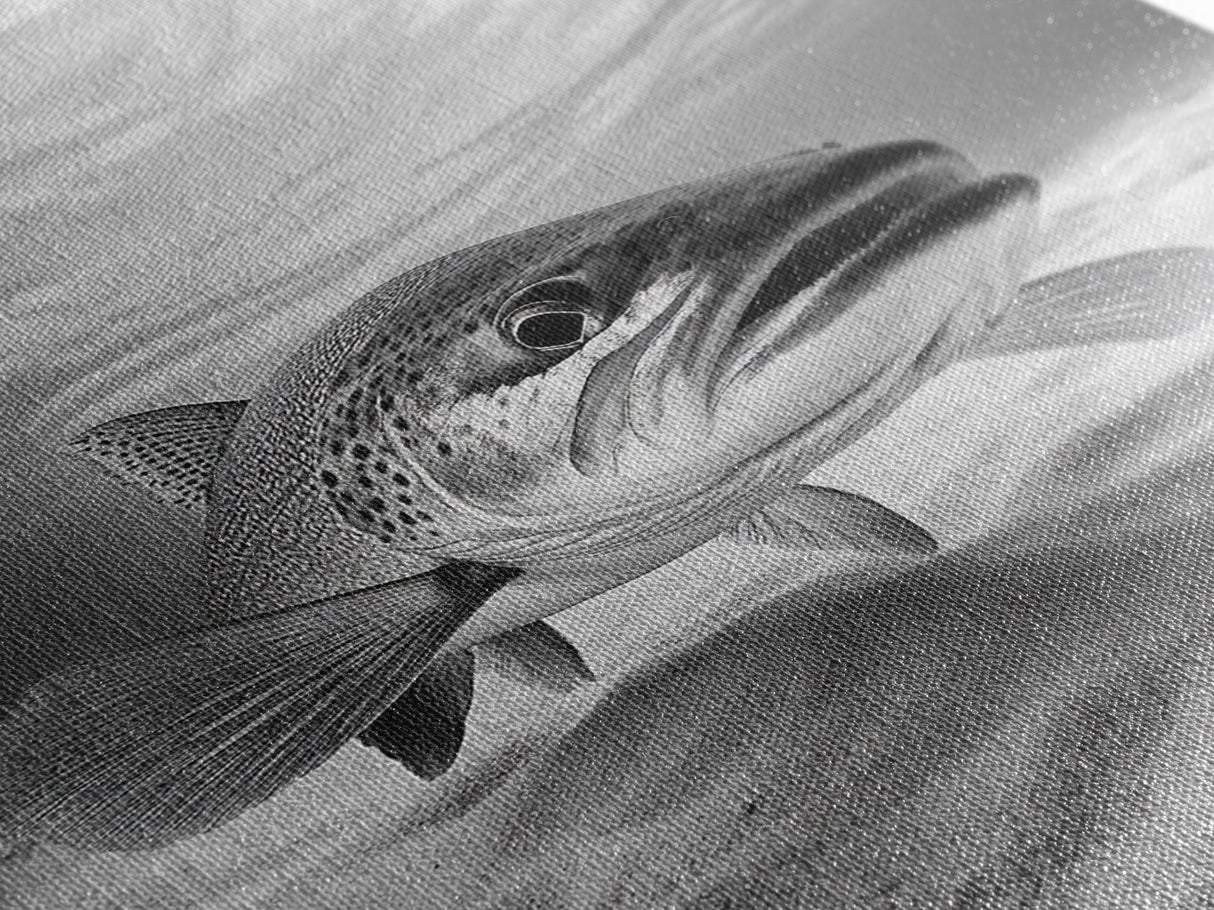 Underwater Trout Closeup, Realistic Fish, Nature Photography, Canvas Print, Man Cave Art, Fishing Lover Gift, Rustic Lake Decor