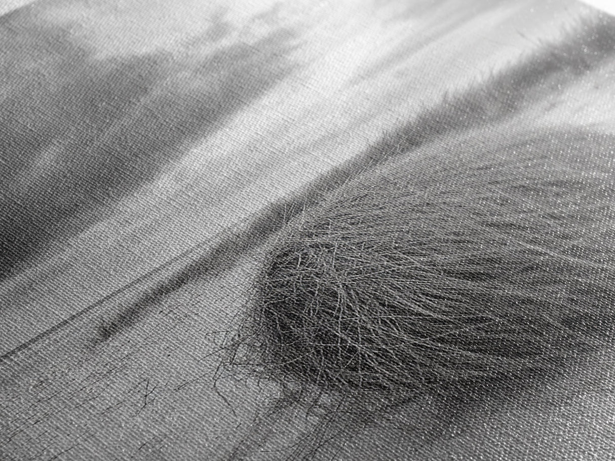 Tumbleweed Dune, Windy Coast, Desert Beach, Canvas Print, Boho Wall Art, Autumn Nature Decor, Minimalist Western Photography