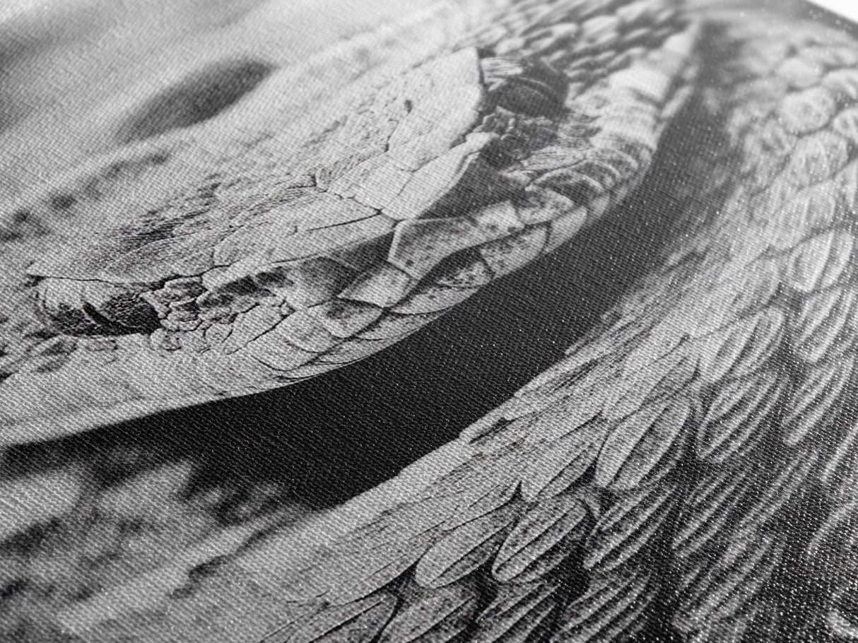 Rattlesnake Face, Coiled Closeup, Venomous Gaze, Canvas Print, Macro Wildlife Wall Art, Reptile Decor, Intense Black White Photography