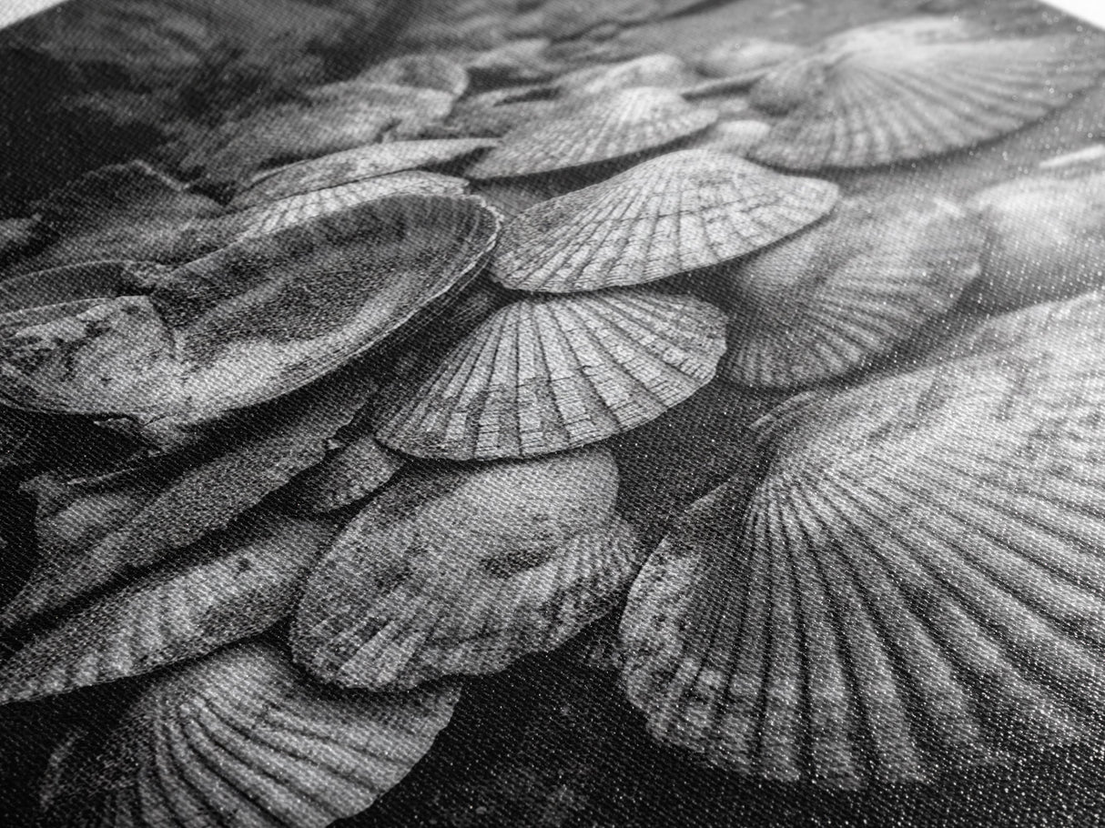 Seashell Pile, Textured Beach, Coastal Treasures, Natural Beauty Framed Canvas Print, bathroom decor, shell art, beach wall style