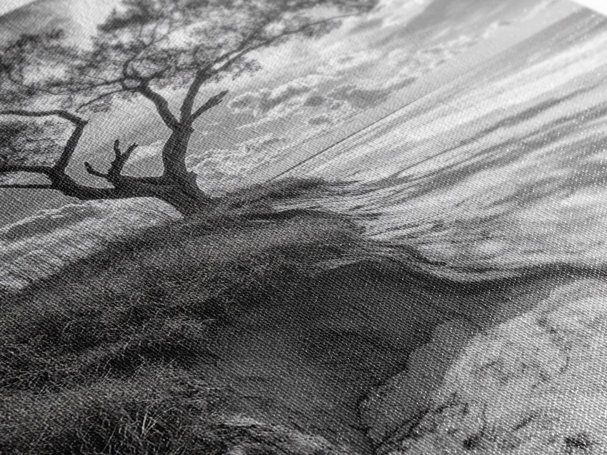Coastal Tree Scene, Wind Swept Dune, Ocean Beach Horizon, Autumn Coastal Wall Art, Framed Canvas Print, Nature Lover Home Decor
