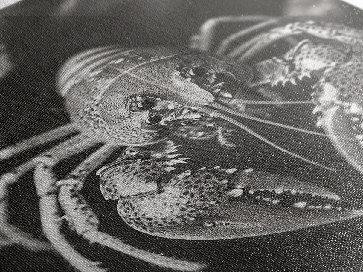 Lobster Close Up, Marine Life Art, Coastal Kitchen Decor, Monochrome Sea Animal, Framed Canvas Print, Ocean Wall Art, Nautical Print