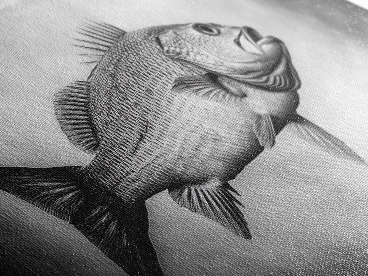 Floating Fish, Surreal Ocean, Realistic Scales, Sky Scene, Framed Canvas Print, Nautical Wall Art, Coastal Decor, Fishing Cabin Aesthetic