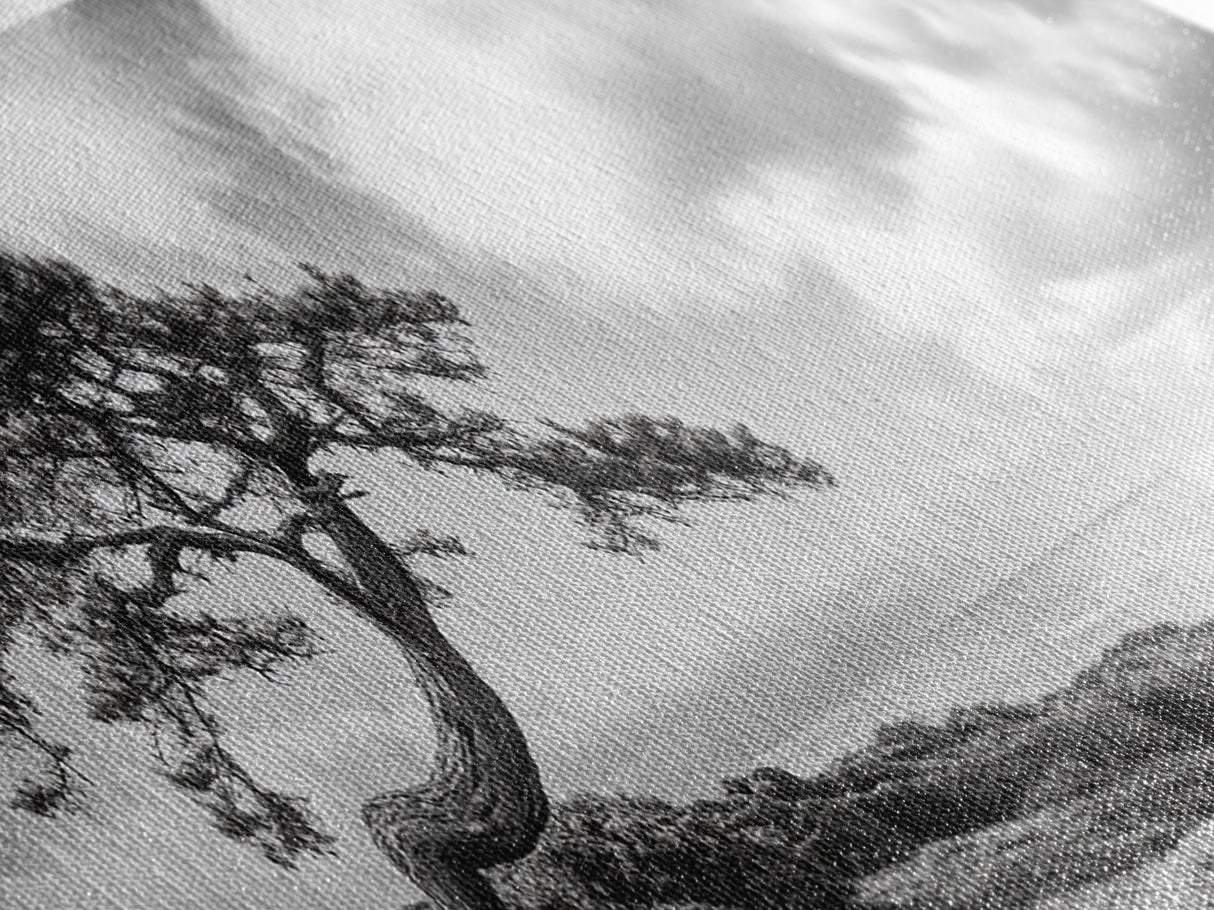 Windswept Tree, Coastal Nature, Ocean Cliff View, Framed Canvas Print, Zen Wall Art, Minimalist Decor, Calm Living Room Accent