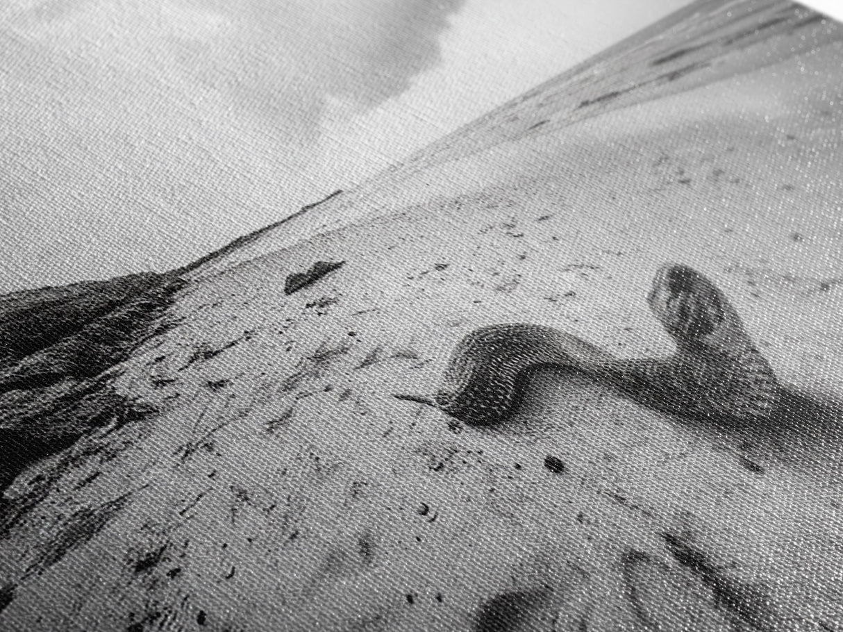 Snake On Beach, Coastal Wildlife, Dramatic Black and White, Framed Canvas Print, Nature Wall Art, Minimalist Decor, Office Statement Art