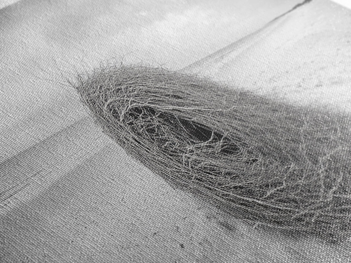 Tumbleweed Nest, Desert Beach, Natural Sculpture, Coastal Simplicity, Canvas Print, Modern Boho Wall Art, Neutral Home Aesthetic