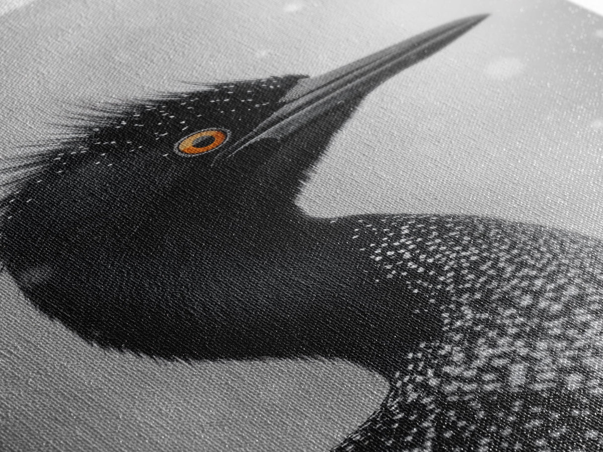 Black Loon, Bird Closeup, Snowy Glow, Winter Nature Canvas Print, Wildlife Wall Art, Modern Bedroom Decor, Birdwatcher Gift Print